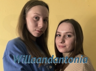 Willaandantonia