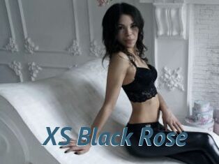 XS_Black_Rose