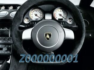 Z000000001