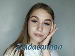 Zeldacannon